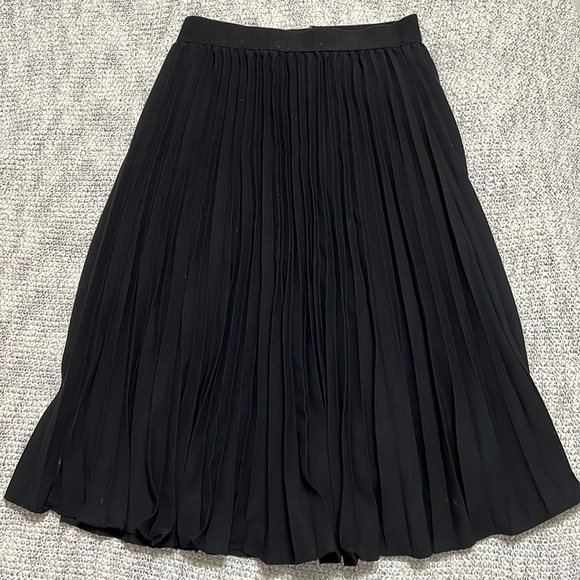 Pleated Skirt - Picture 1 of 4